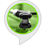 never always Alexa Skills